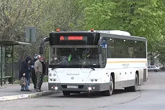 «Даже без теста». Назван новый отличительный симптом «омикрона»