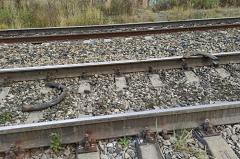 В Невьянске двое школьников подкладывали камни на железнодорожные пути