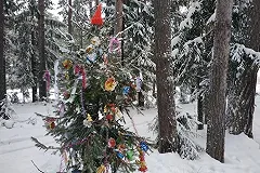 Двое уральцев с топором и ракетницей напали на продавца ёлок