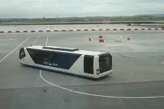 Багаж группы «Смысловые галлюцинации» потеряли в Кольцово