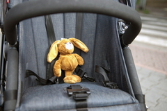 Шайка мам с колясками задержана за воровство в магазинах