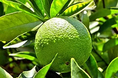 Торговые сети попросили не повышать цены из-за ситуации с Турцией