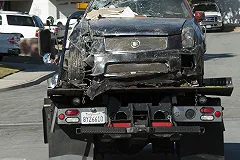 Первый и единственный в УрФО медвытрезвитель открывается в Челябинске