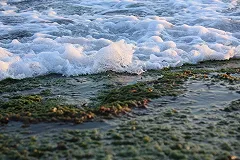 Семью из Екатеринбурга вместо пятизвездного заселили в отель «три звезды»