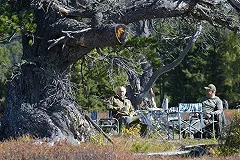 Президент России Владимир Путин проводит день рождения в тайге