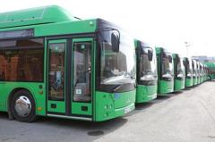 Новые автобусы Екатеринбурга будут зелёными