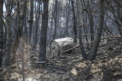 Бездомный заживо сгорел во время пожара в коллекторе в Каменске-Уральском