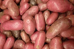 Дмитрий Медведев похвалил «Уральский картофель»