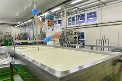 Липецкий завод наказали за производство горящего творога