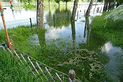 Климатологи: В России под воду уйдут 8 регионов за 50 лет