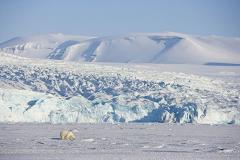 Над Арктикой затянулась большая озоновая дыра