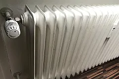 Русскоязычная жительница Германии не может выселить разоряющих ее украинских беженцев