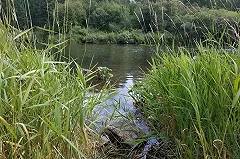 Появились детали трагедии с девочкой на Рефтинском водохранилище