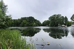 Два мигранта пытались утопить тюменского подростка из-за самоката