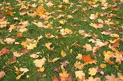 Синоптики о холодном уральском лете: «Очень сложно объяснить…»