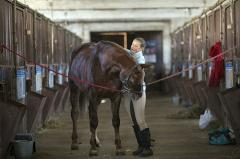 Лошадь убила наездницу во время конного шоу в Новороссийске