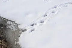 Следователи ищут организатора опасных полетов на паралете над Шарташом