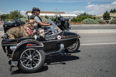 В Америке байкера похоронили на любимом мотоцикле