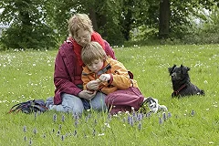 Зачем родила? Ивановский чиновник извинился перед оскорбленной матерью-одиночкой