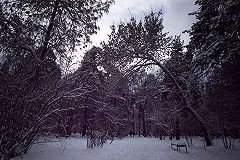 Молоков рассказал, когда в Зеленой Роще начнется реконструкция