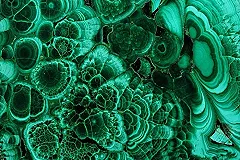 Серебряное копытце или малахит: для талисмана Универсиады в Екатеринбурге определили 12 персонажей