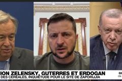 Эксперт назвал цель визита Эрдогана на Украину