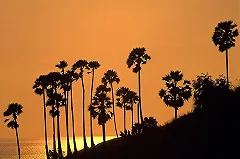 На Новый год екатеринбуржцы полетят в Дубай и Пхукет