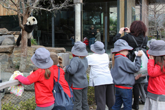 Китайским туристам запретили ковыряться в носу