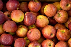 В Госдуму внесен законопроект о передаче санкционных продуктов малоимущим