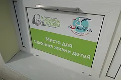 Кабмин раскритиковал законопроект Мизулиной о беби-боксах