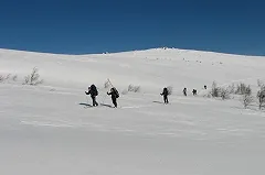 Турист, пропавший на перевале Дятлова, оказался судьей Свердловского облсуда