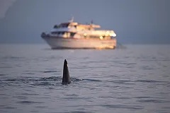 Задержанного на Чукотке американца отправили на реабилитацию