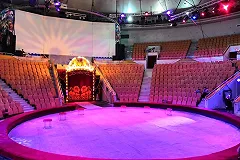 Цирк Екатеринбурга откроет новый сезон с благотворительного показа для детей