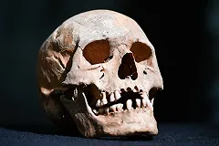 В Нижнесергинском районе обнаружен неопознанный скелет застреленного мужчины