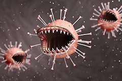 Коронавирус: последние новости на 24 января