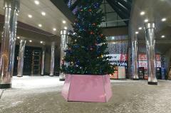 «Она что, воевала?» В Британии высмеяли рождественскую елку на Трафальгарской площади (ФОТО)