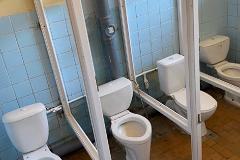 В свердловской школе дети разгромили туалеты, оставив их без перегородок