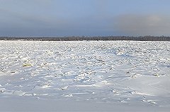 Поиски утонувшего на Белоярском водохранилище во время катания на снегоходе продолжаются