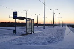 Высаженный друзьями из машины южноуралец замерз насмерть