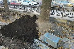 Общественник назвал «чудовищным» состояние деревьев в сквере у Оперного