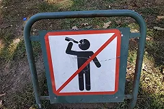 Блогер из Питера понял, почему в Москве живут вежливые люди