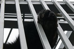 А вы знаете, как выглядит медвежья берлога изнутри?