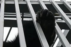 А вы знаете, как выглядит медвежья берлога изнутри?