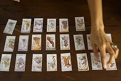 В разбившемся в Подмосковье самолёте погиб уральский маг