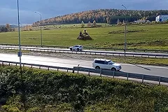 Стало известно, где теперь установят статую гигантского льва с золотыми гениталиями