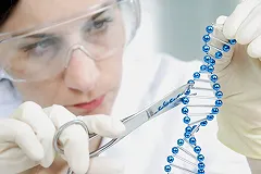 Генетически модифицированные люди будут бессмертны и опасны?