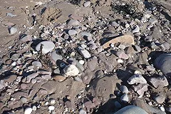 Житель Салехарда продает свою однушку за биткоины