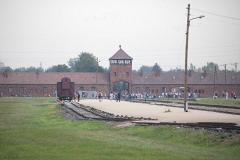 Клуб Абрамовича предложил отправлять фанатов-расистов в Освенцим