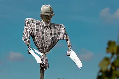 Дети подорвались на садовом взрывном устройстве «от воров» в Приморье