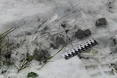 Из Таиланда депортирован житель Екатеринбурга, занимавшийся наркоторговлей